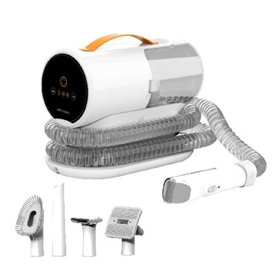 Kit de toilettage pour chien 110v-240v 5 en 1 aspirateur pour animaux de compagnie pour poils d'animaux