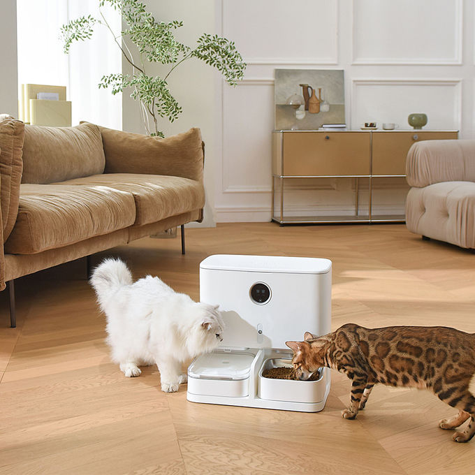 Conducteur de alimentation automatique de l'animal familier 6L et affichage d'affichage à cristaux liquides de distributeur de l'eau pour des chats/chiens 0